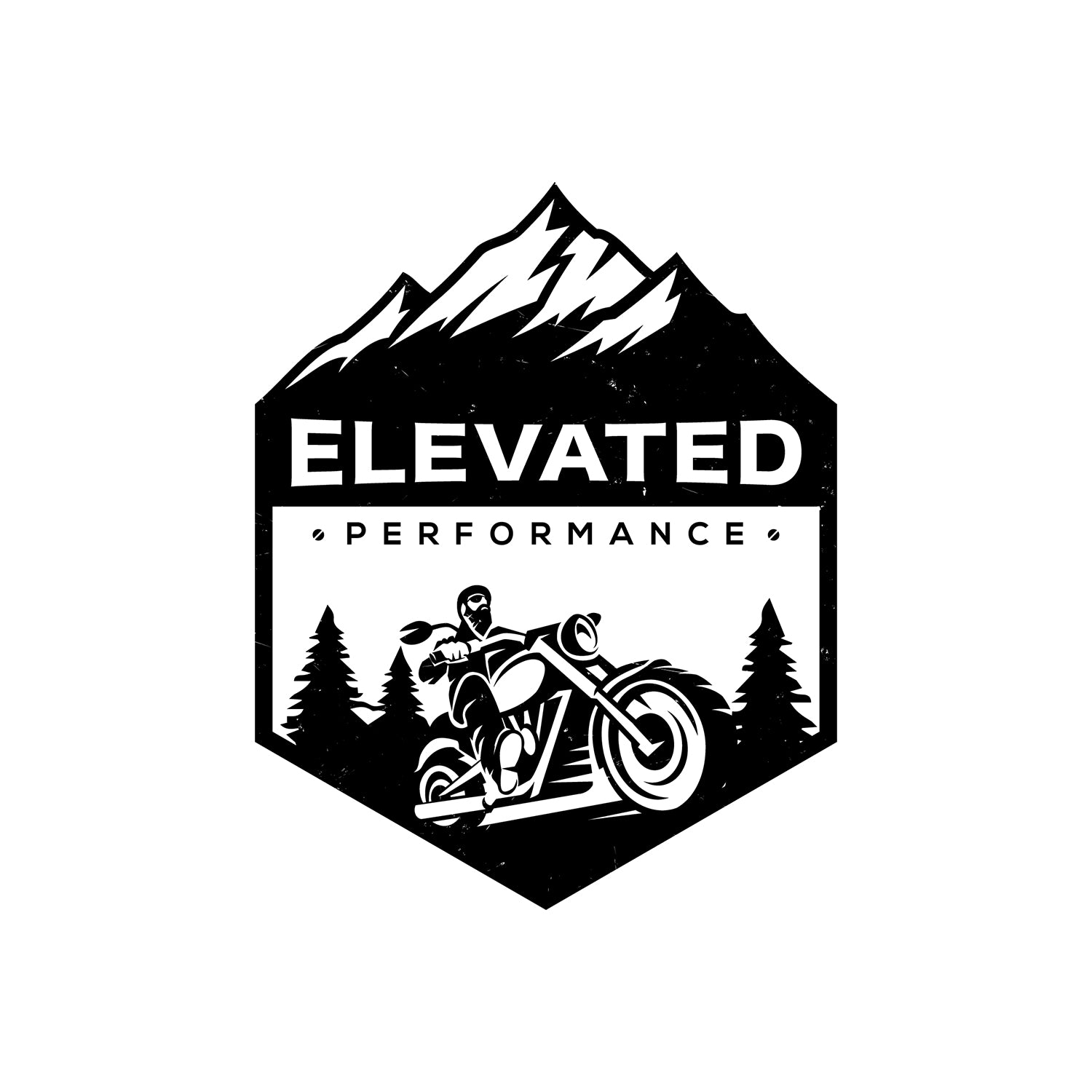 Elevated Performance Indian Scout 79